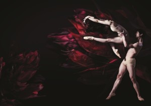 The Australian Ballet launches 2015 season